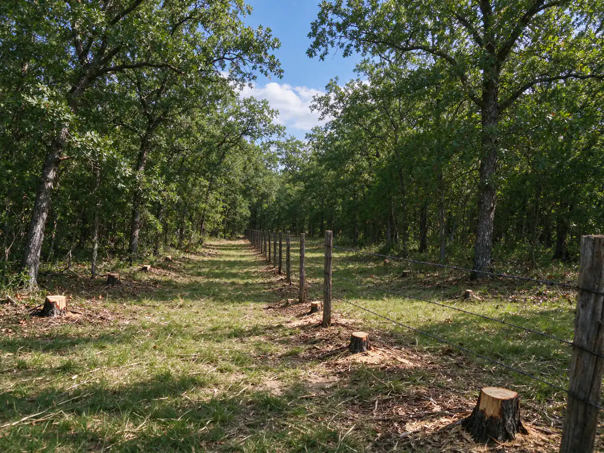 Cleared fence line ready for new fencing, with a strip open on both sides