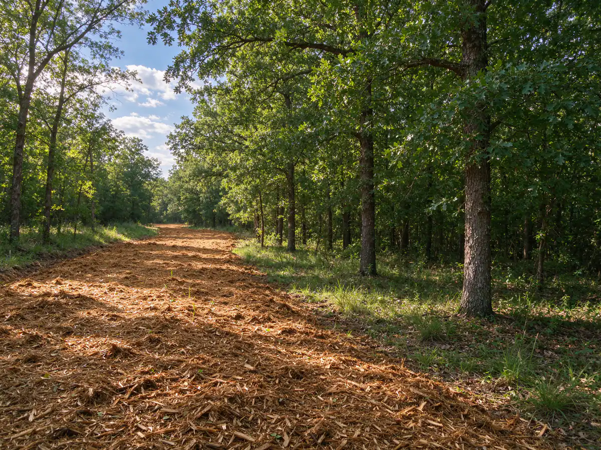 Finished easement strip with mulch spread thin and the edges cut clean