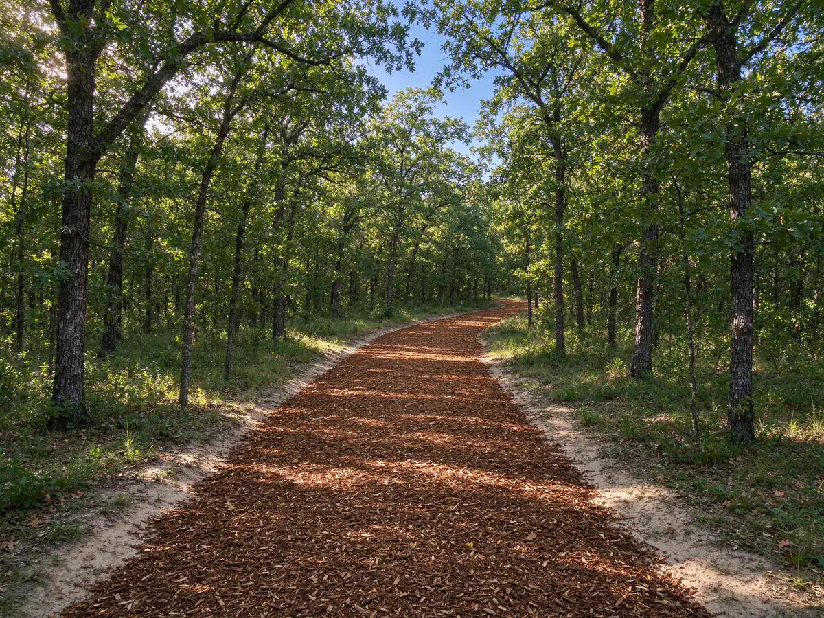 Mulched walking trail through post oak woods on rolling ground